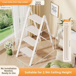 Folding and Extensible Step Ladder