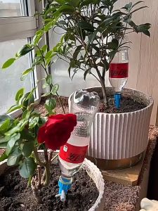 Bộ 10 Vòi Tưới Nước Nhỏ Giọt Tự Động Cho Cây Vườn Gắn Chai Tiện Lợi RQN2660 - requane