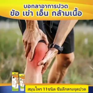 ครีมนวดกล้ามเนื้อ 99 ออสโต้ครีม ใช้นวดกล้ามเนื้อ เอ็น ไหล่ ซึมลึกตรงจุด ด้วยสมุนไพร 11 ชนิด ไม่เหนียวเหนอะหนะ