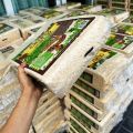 Pet’s dream (CHIPSI SNAKE) 2 kg รองพื้นสำหรับงู ขี้เลื่อยงู แบบนุ่ม เกรดพรีเมี่ยม ขี้เลื่อยสำหรับงู เม่น หนูแฮมสเตอร์. 