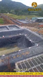 Bạt lót ao hồ 8m x 6m dày 0.3mm bảo hành 5 năm