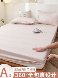Non-Cotton Full Enclosure Bedding Protector Single Piece Four Seasons Universal Dustproof Dirty Proof Mattress Cover