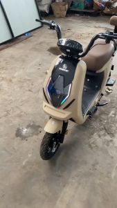 Sarung Jok Sepeda Listrik Type EXOTIC X660 Model WAJIT / Bungkus Sadel Selis Motif WAJIT X660
