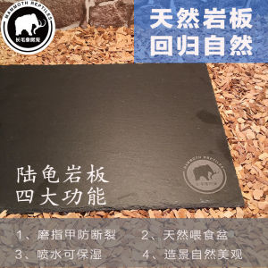 Natural Rock Plate Turtle Feeder Lizard Feeder Land Turtle Box Rock Plate Mat Claw Grinding Heat Preservation Moisture Proof