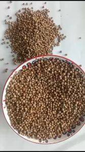 KETUMBAR HITAM / Ketumbar Herbal Organik / Ketumbar Masak 1kg