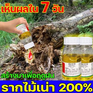 ตรงไปที่ราก รากไม้เน่า1000% ยาฆ่าตอไม้ กำจัดต้นไม้+รากเน่า ยาฆ่าต้นไม้ ไม่ต้องใช้แรงงานคน ล้มเอง ฆ่าตอไม้ ไม่เป็นอันตรายต่อดิน สารกำจัดตอไม้ ผงฆ่าต้นไม้ ยาฆ่าตอต้นไม้ ทำลายตอไม้ จำกัดตอไม้ ยาฆ่าไม้ไผ่ กำจัดวัชพืช