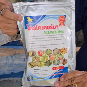 ไตรโคเดอร์มา เกรดพรีเมียม 500 กรัม ป้องกันและกำจัดเชื้อราที่ก่อให้เกิดโรคพืช