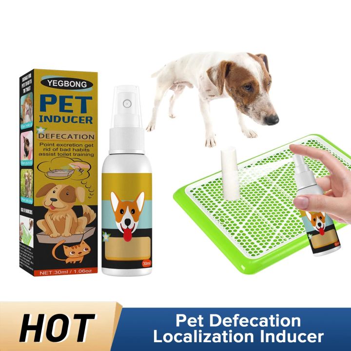 Dog Potty Training Spray Cats Kitten Outdoor Urine Poops Stool Location