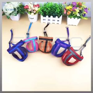 Pet Chest Strap Soft Mesh Harness with Leash