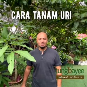 TUNGBAYEE Set Pengurusan Uri + Tembikar