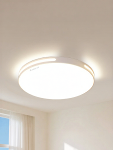 Chigo | Eye-protection Ceiling Light Round
