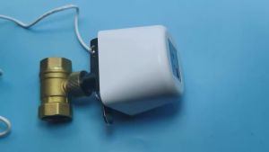 1/2" 3/4" 1" DN32 Tuya Zigbee Wifi Water Valve Automatic Water Shut Off Timer Irrigation Controller Support Alexa Google Home