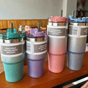 DIHUANTUO | Insulation Mug With Straw