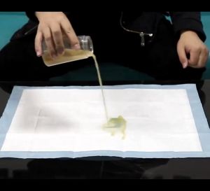 Pet Pee Pad Cat Dog Disposable Training Mat Super Absorbent Deodorant Pet Urine Diaper Leak-Proof Quick Dry