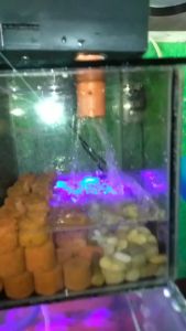 1kg Lava Ceramic Ring Nitrifying Bacteria Aquarium Fish Filter Media Aquarium Accessories