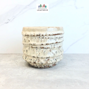 The Leaferie Liadan plant pots. flowerpot . flowerpots . flower pot . planter . planters . Ceramic