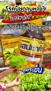 เฮปซาก้า ขนาด 1 ลิตร เฮกซะโคนาโซล (hexaconazole) 5% W/V SC ป้องกันเชื้อรา กาบใบแห้ง โรคใบไหม้  ในนาข้าว
