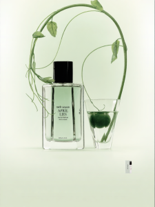 melt season | Citrus Green Fragrance Perfume