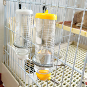 Automatic Water Dispenser for Rabbits Hamsters Guinea Pigs Special Ball Water Bottle Pet Supplies for Pigs And Rabbits