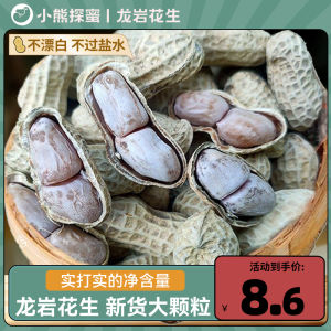 Longyan Peanut Garlic Flavor Spiced Multi-Flavor White Sun Boiled Peanut Meat with Shell Roasted Nuts Satisfy the Appetite Snacks Wholesale in Bulk