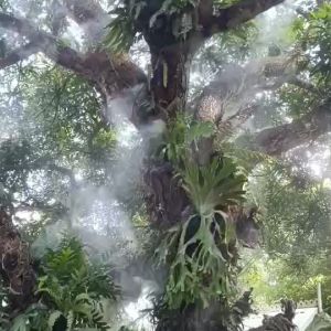 หัวพ่นหมอก สแตนเลส ชุดละ 10 หมอก รับประกันคุ้มคาเงินที่สุด ทนทานหมอกละเอียด พ่นละอองน้ำ พ่นไอหมอก พร้อมร้านกาแฟ สวนเดอร์น้ำตก หรือสินค้าอื่น