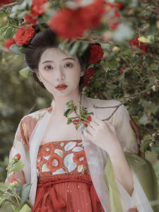 Tang Dynasty Red Face Camellia Hanfu Embroidered Print One-Piece Shirt Skirt Large Sleeve Shirt Chest Pleat Skirt Womens Style