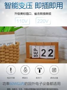 Bull | Đầu Chuyển Đổi Điện Áp 110V 220V