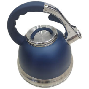ZHUOLESHI | Whistle Stainless Steel Kettle