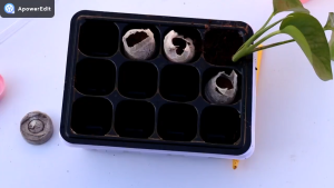 Non-woven fabric compressed non-woven fabric seedling blocks for cultivation seedling nutrient blocks soil matrix nutrient soil