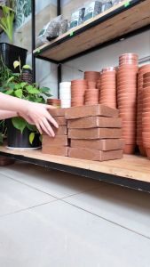 COMBO 10 viên nén 500Gr xơ mụn/ vỏ dừa cắt đã qua xử lý - Giá thể trồng cây chất lượng cao | Độc quyền Family Garden