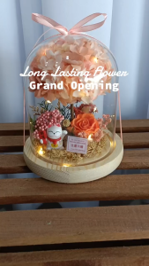 Business Opening Gift | Grand Opening Preserved Flower | Shop Opening Congratulation | TTEEN GIFT
