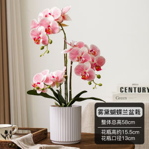 ต้นไม้ดอกไม้เทียม ต้นไม้ดอกไม้สีม่วง ตกแต่งบ้าน ตกแต่งโต๊ะเครื่องแป้ง ช่อดอกไม้เทียม ช่อดอกไม้เทียมแบบสมมาตร ตกแต่งบ้าน ร่มไม้ วัสดุอื่น ๆ