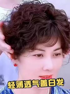 Elegant Small Curl Wig for Middle-Aged And Elderly Women Woolen Roll Hairpiece to Cover White Hair Plush Top Ladies Wig