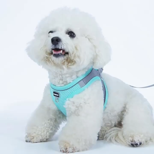 Mojioo เสื้อกั๊กสายจูงสุนัขระบายอากาศปรับได้-น้ำหนักเบาหนีสายรัดสัตว์เลี้ยงสะท้อนแสงพร้อมตีนตุ๊กแกที่ง่ายสำหรับแมวและสุนัขขนาดเล็ก (สีเขียวสีชมพูสีส้มสีเหลือง)