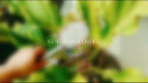 Saringan atau ayakan serbaguna bahan Stainless steel ayakan tepung saringan teh kopi Bentuk Lucu Terbaru