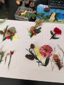 BAIFULING | 3D Hollow Glass Creative Frame Dried Flower Decorative Painting