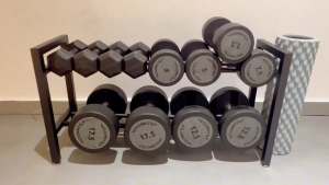 Heavy Duty 2-Tier Dumbbell Storage Rack with 250LBS Capacity Sturdy Steel Weight Stand Organizer for Home Gym Space-Saving Fitness Equipment Holder