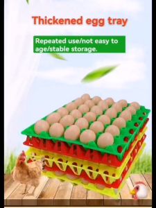 10PCS PLASTIC EGG TRAY SMALL TO MEDIUM SIZE 1DOZEN TRAY