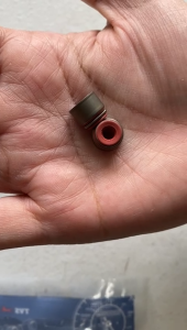 TVS King Stem Oil Seal - N4011100 (Set of 2)