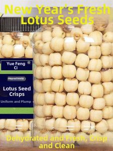 Healthy Ready-to-Eat Lotus Crisps Salty and Original Flavor