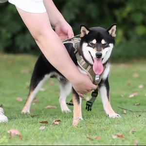 Dog Vest Harness For Medium Large Military Dog Nylon Breathable Training Vest No Pull Adjustable Dog Harness with Leash