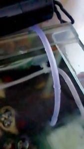 Dop Selang Aquarium SATUAN Kop Tempelan Selang Blower Aerator Aquascape Hidroponik Ecer Per Pcs