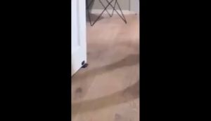 Suomi Black Door Stopper Properly Holds Your Door Open Door Wedge Holder