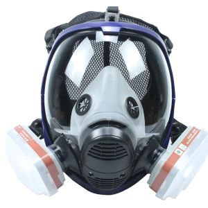 Gas Mask 68006001 Gas Mask Acid Dust Mask Gas Mask Paint Pesticide Spray Silicone Filter Laboratory Filter Cartridge Welding
