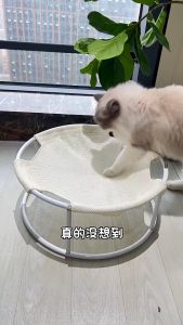 Cat Hammock Bed Mesh Breathable Waterproof Pet Round Hammock Detachable Washable Iron Cat Sleeping Bed With Ball Toy
