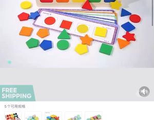 JLT Wooden Color & Shape Sorting Box: A Developmental Learning Tool