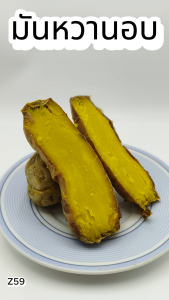 มันหวานอบ 1000g. Z59 ของเเท้100% แพ็คด้วยสูญญากาศอย่างดี