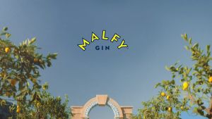 Malfy Gin Con Limone 700ml: A Premium Citrus Flavored Gin