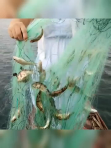 Three Layers Monofilament Fishing Fish Gill Net with Float Fishing Durable Net Fishing Sink Net