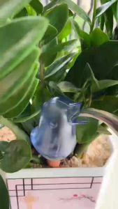 Gardening Fashion Plastic Bird Irrigation Equipment Drip Irrigation Home/Horticulture Plant Moisture Plant Watering Device